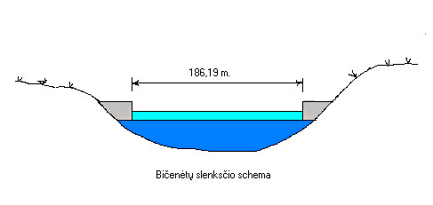 Paveikslėlis